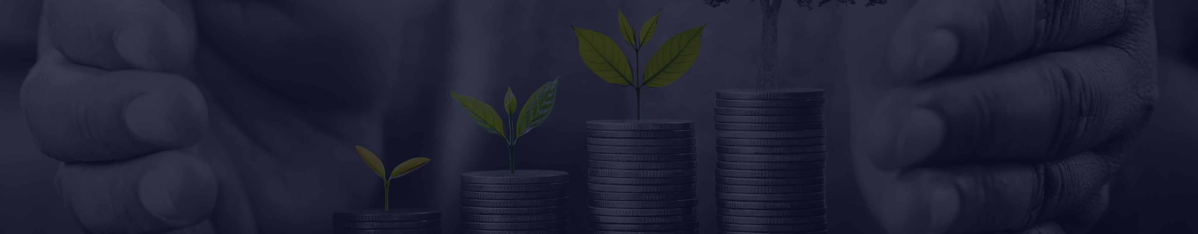 Home Equity Line Of Credit